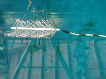 électrode sparker (peigne de 100 brins) au moment de l’émission, lors d’essais en bassin